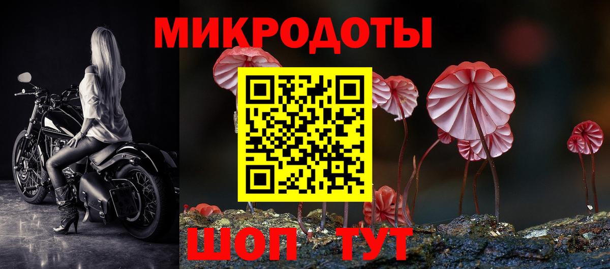 Заводоуковск  Псилоцибиновые грибы MAGIC MUSHROOMS  Вход с VPN 